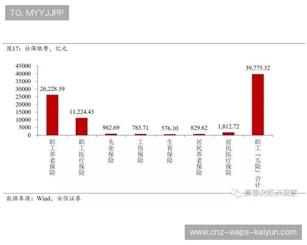 冬窗对小俱乐部的财政稳定性影响被全面评估
